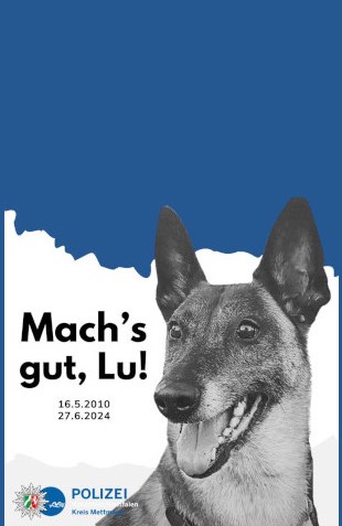 Diensthund Lu 